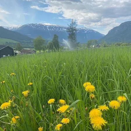 Hébergement de vacances Stort Og Autentisk Hus I - Kort Vei Til Lom!