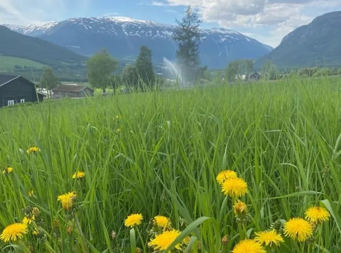 Дом отдыха Stort Og Autentisk Hus I - Kort Vei Til Lom!